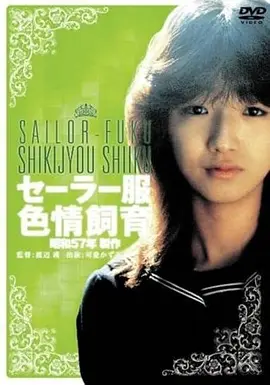 雨夜信号 免费视频网站在线观看